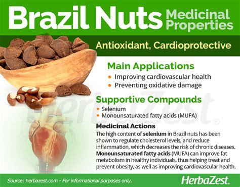 Brazil Nut Selenium Nutrition