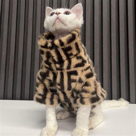 Sphynx Cat Fur Coat | Sphynx Fendi Coat, Fendi Coat for Cats