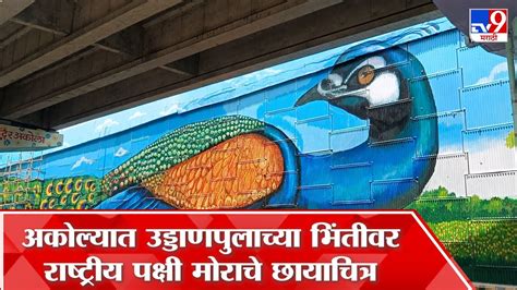 Akola Flyover Wall Painting अकोल्यात मनपाच्या स्वच्छता मोहिमेत