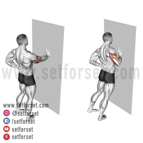 6 Multifidus Exercises to Stabilize Your Spine - SET FOR SET