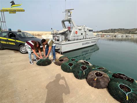 Al Porto Di Licata Agrigento Maxi Sequestro Di Circa Mila Esemplari