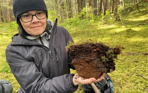 Au Canada les jardins forêts des indigènes Kitselas sortent de loubli