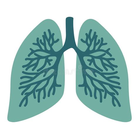 Símbolo Pulmonar Respiración Ejercicio Pulmonar Cáncer De Pulmón