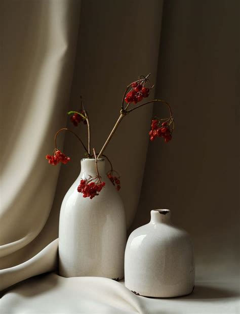 Still Life Photography Examples