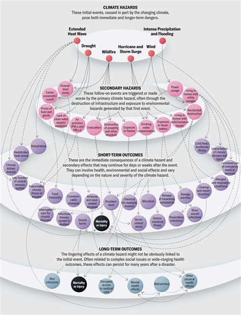 Visualizing Climate Disasters' Surprising Cascading Effects - Techno ...