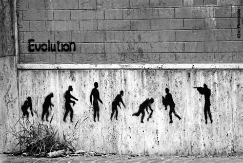 Evolution DAVIDE M D ANGELO Flickr