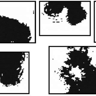 examples  diffraction fringes    focus images measured