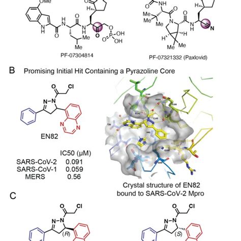 Discovery of pyrazoline-based SARS-CoV-2 main protease inhibitors. (A)... | Download Scientific ...