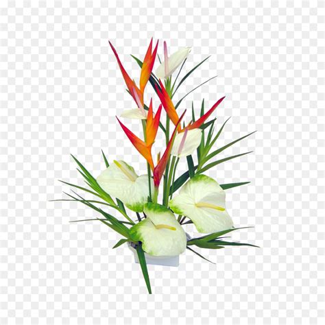 Camia Flower Png Transparent Camia Flower Images - Wild Flowers PNG ...