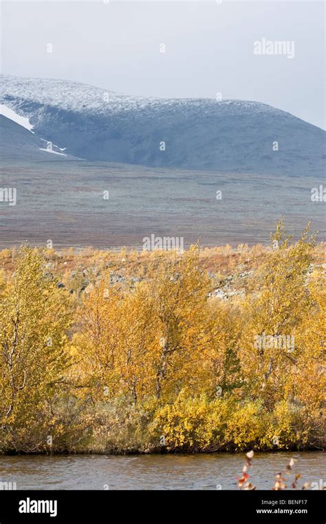 Sarek National Park Stock Photo - Alamy