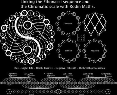 Vortex Math And Fibonacci Sequence Marko Rodin Discovered Nature S Secret Sacred Geometry