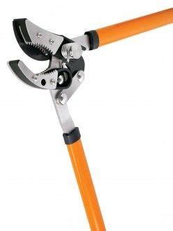 The Best Tree Branch Cutter | Home and Garden Reference