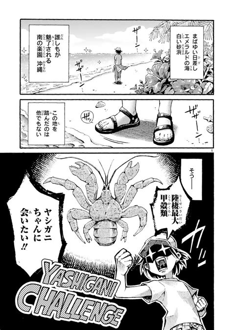 漫画「陸上最強の甲殻類・ヤシガニに会いに沖縄へ行った話 」まとめ