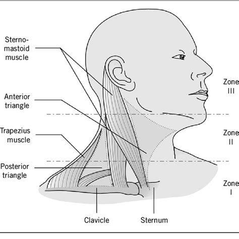 Algorithm For No Zonal Management Of Penetrating Neck Injury Approach Download Scientific