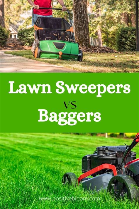 5 Key Differences Between Lawn Sweepers Vs Baggers In 2023 Lawn