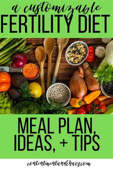 Fertility Diet Meal Ideas Downloadable Pdf Fertility Diet