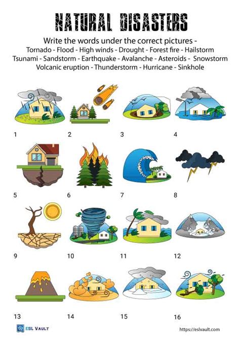 Interesting Natural Disasters Worksheets Esl Vault