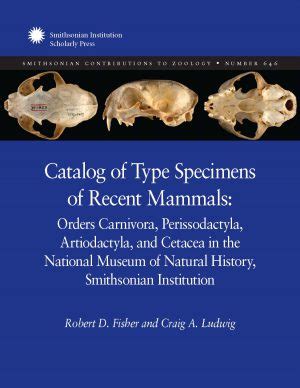 Catalog Of Type Specimens Of Recent Mammals Orders Carnivora