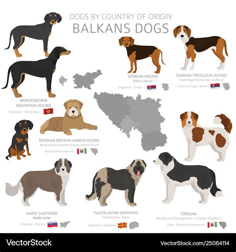 Dogs country origin balkans dog breeds Royalty Free Vector