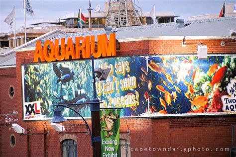 The Aquarium | Cape Town Daily Photo