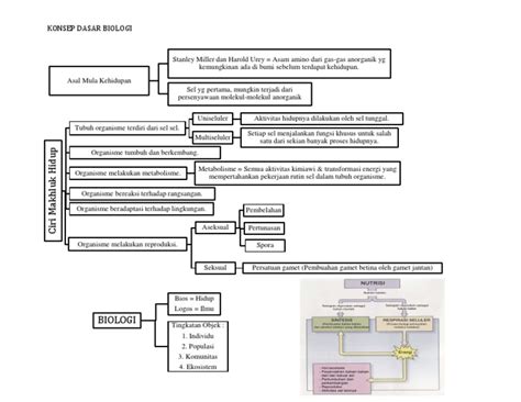 Peta Konsep Biologi | PDF