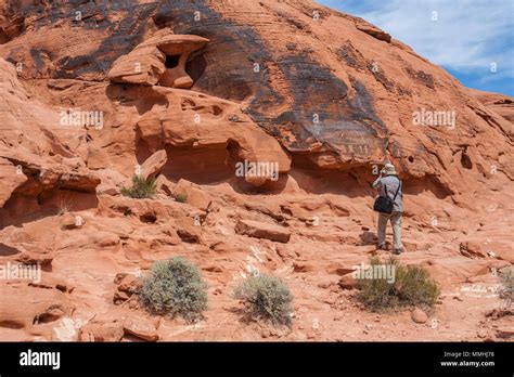 Visitor Photographing Symbols Etched In Red Aztec Sandstone Rock Formations In The Valley Of