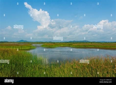 The Bokor Mountain National Park in Kampot, Cambodia Stock Photo - Alamy