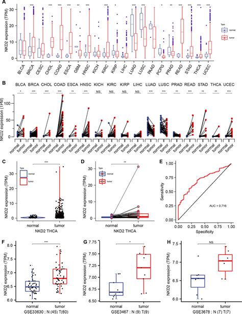 Highly Expressed NKD2 In THCA Patients A NKD2 Expression Profile In