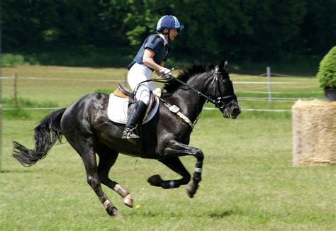 Horseback Riding - The Difference in Western vs. English Styles