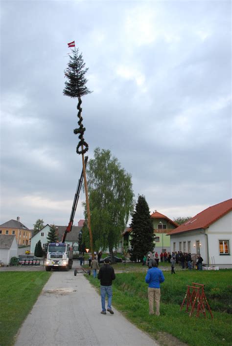 Meter Hoher Maibaum In Gr Wolfgers Gm Nd