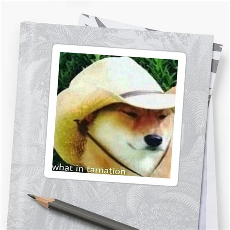 "What In Tarnation - Doge Meme" Stickers by Kimberlyli | Redbubble