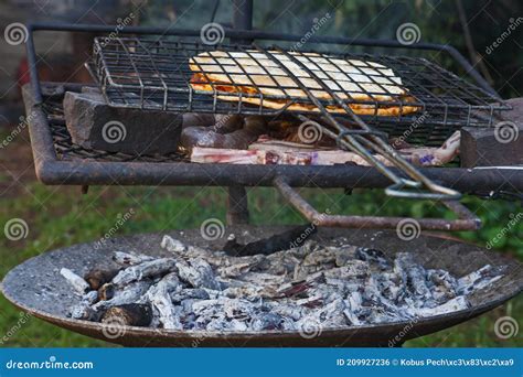 Traditional South African Braai Stock Photo Image Of Meal Beef