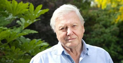 This is David Attenborough, the glorious narrator of various nature ...