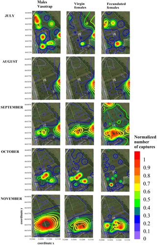 Analysis Of The Mediterranean Fruit Fly Ceratitis Capitata Wiedemann Spatio Temporal