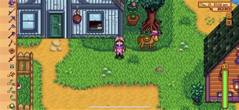 Stardew Valley Penny House - Stardew Valley Sam – Guide And Tips For ...