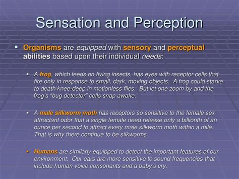 Sensation And Perception