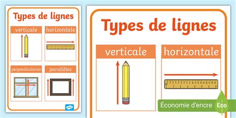 Free Affiche Sur Les Diff Rentes Lignes Twinkl