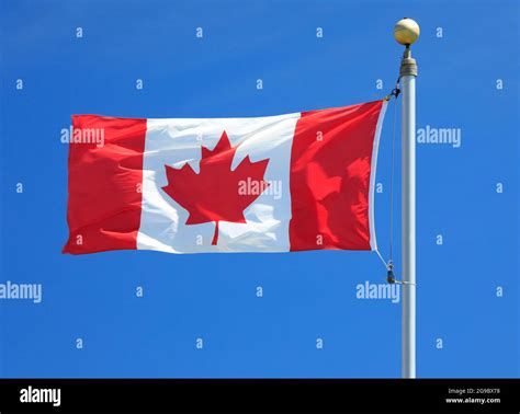 Canadian Flag Waving In The Wind Stock Photo Alamy