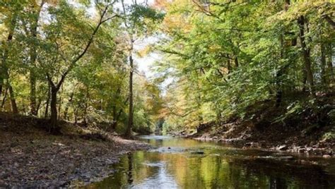 Wissahickon Valley Park Among Top Ten City Parks In Country