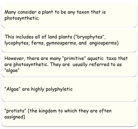 Lecture Kingdom Protista Flashcards Quizlet