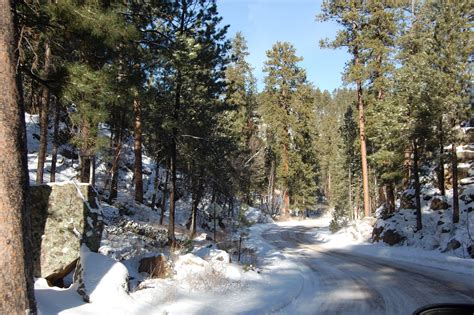 Nana Porcupine: Winter at Custer State Park. Jan 12, 2011