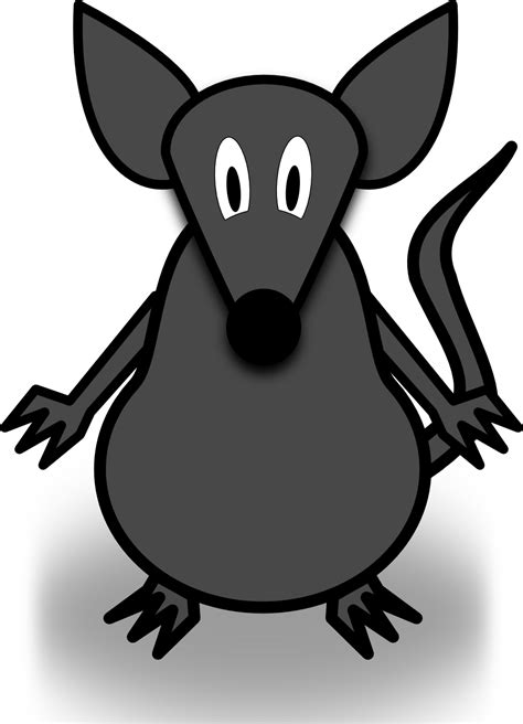 Rat clipart daga, Rat daga Transparent FREE for download on ...