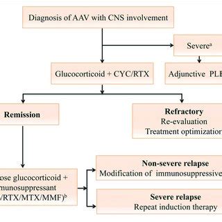 Treatment Algorithm For Anti Neutrophil Cytoplasmic Antibody