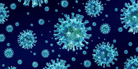 Microorganismo - Qué son, características, tipos y ejemplos 