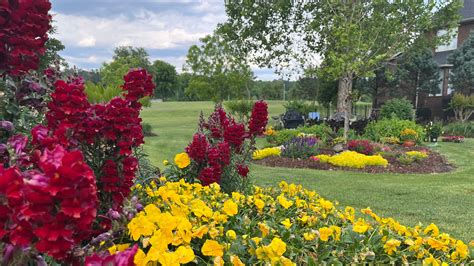 Augusta Areas Best Home Gardens Flower Displays