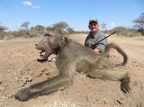 Hunting Baboon In South Africa Somerby Safaris