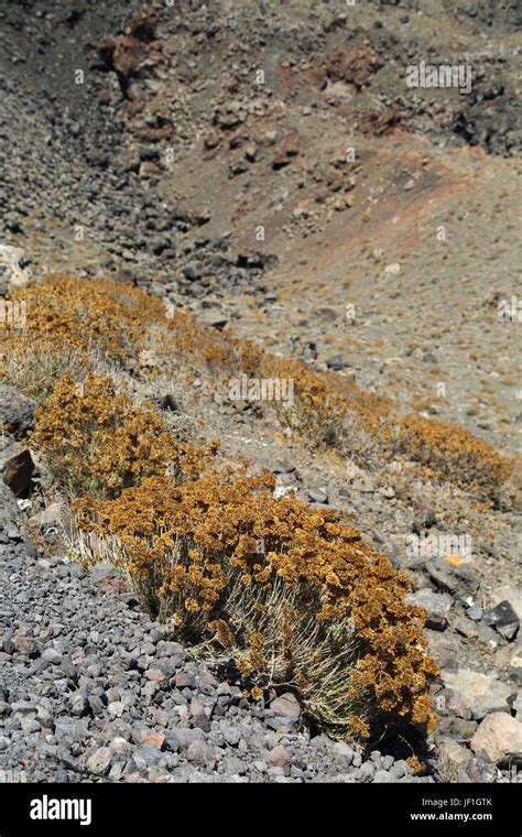 Santorini volcano eruption hi-res stock photography and images - Alamy