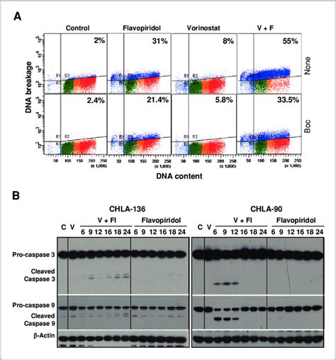 Induction Of Apoptosis By The Vorinostat Flavopiridol Drug