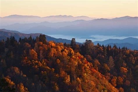 TripAdvisor Names Gatlinburg Fall Colors Among Top 10 in the Nation