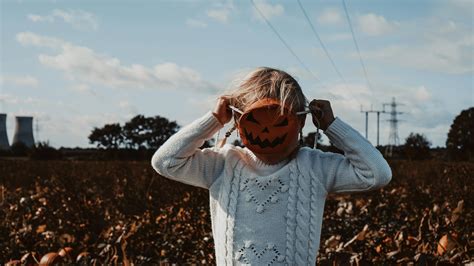 Photo of Field Full of Pumpkins · Free Stock Photo